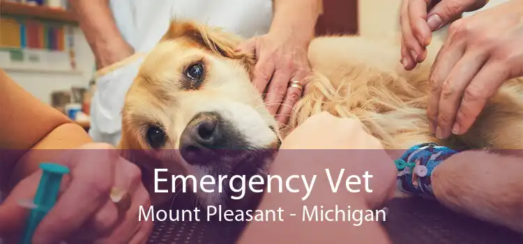 Emergency Vet Mount Pleasant - Michigan