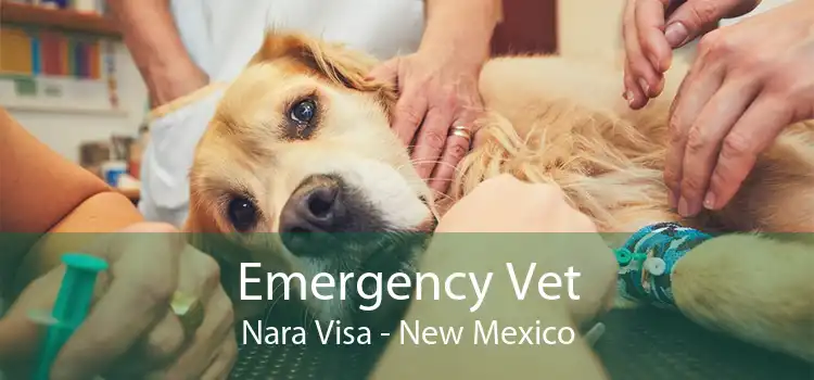 Emergency Vet Nara Visa - New Mexico