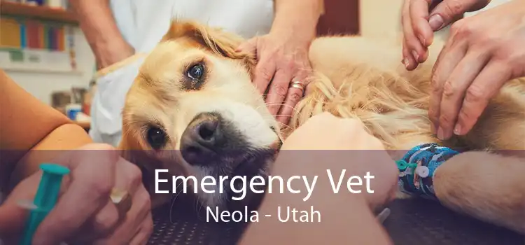 Emergency Vet Neola - Utah