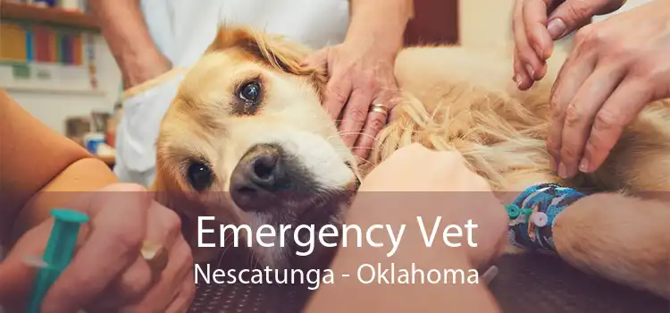 Emergency Vet Nescatunga - Oklahoma