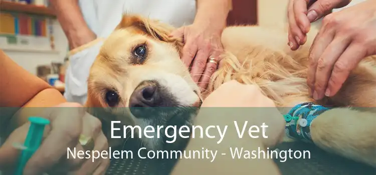 Emergency Vet Nespelem Community - Washington