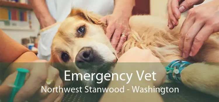 Emergency Vet Northwest Stanwood - Washington