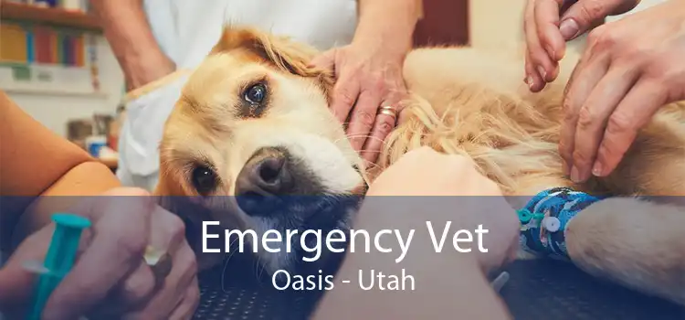 Emergency Vet Oasis - Utah