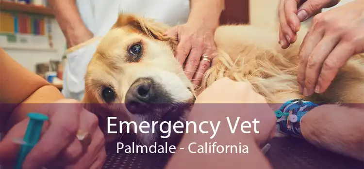 Emergency Vet Palmdale - California