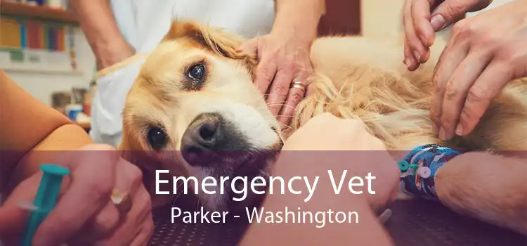 Emergency Vet Parker - Washington