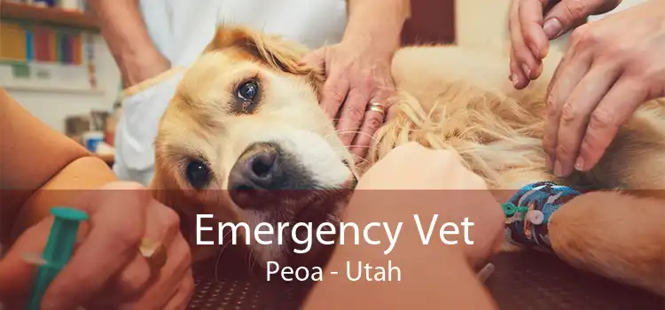 Emergency Vet Peoa - Utah