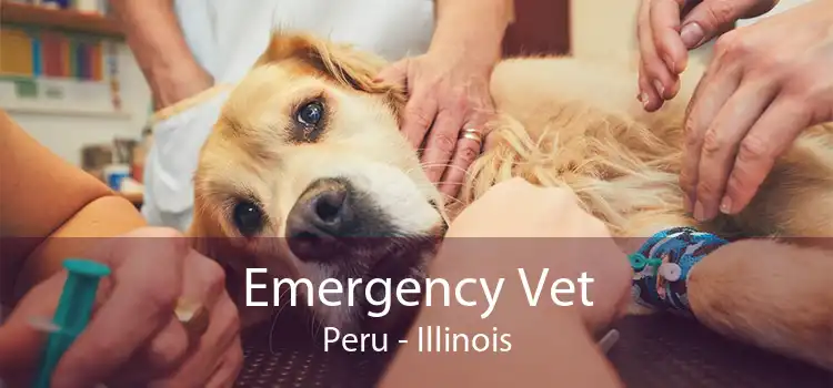 Emergency Vet Peru - Illinois