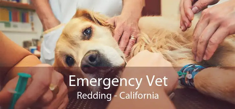 Emergency Vet Redding - California