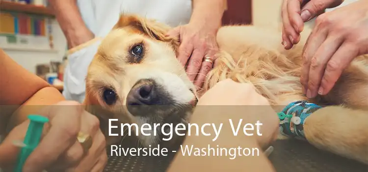 Emergency Vet Riverside - Washington