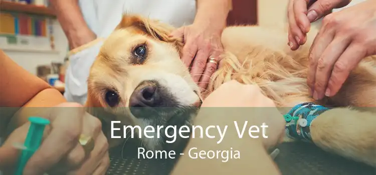 Emergency Vet Rome - Georgia