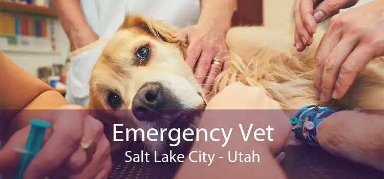 Emergency Vet Salt Lake City - Utah