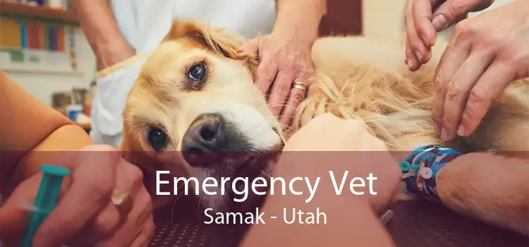 Emergency Vet Samak - Utah