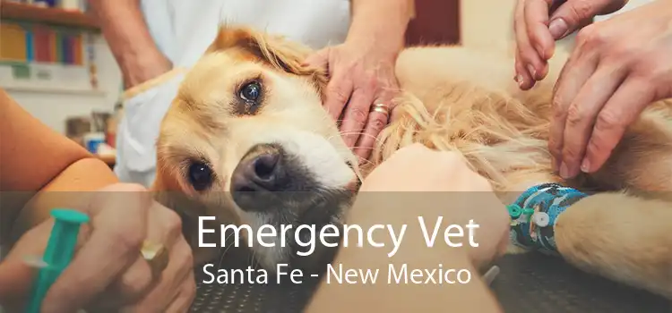 Emergency Vet Santa Fe - New Mexico