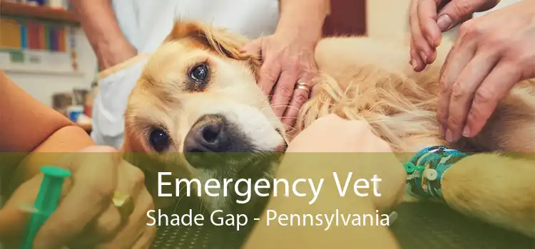 Emergency Vet Shade Gap - Pennsylvania