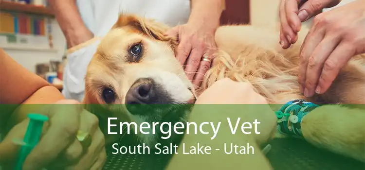 Emergency Vet South Salt Lake - Utah