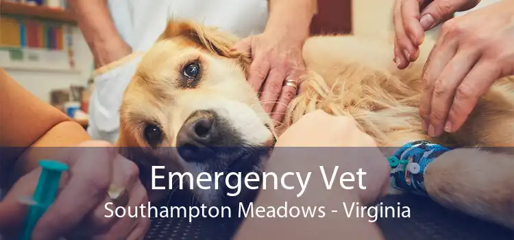 Emergency Vet Southampton Meadows - Virginia