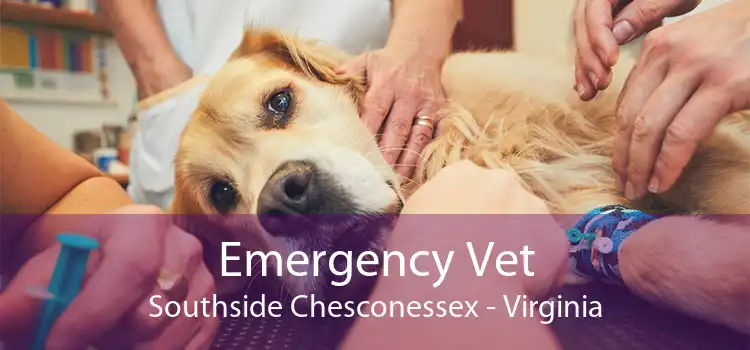 Emergency Vet Southside Chesconessex - Virginia