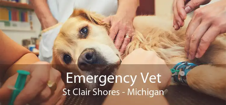 Emergency Vet St Clair Shores - Michigan
