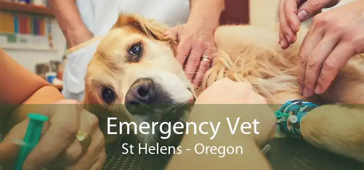 Emergency Vet St Helens - Oregon