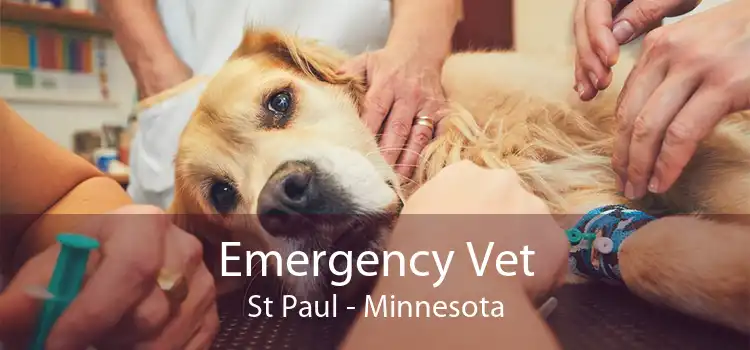 Emergency Vet St Paul - Minnesota