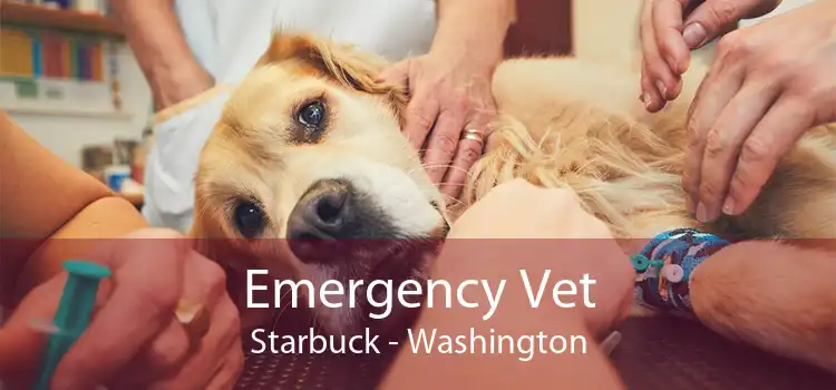 Emergency Vet Starbuck - Washington
