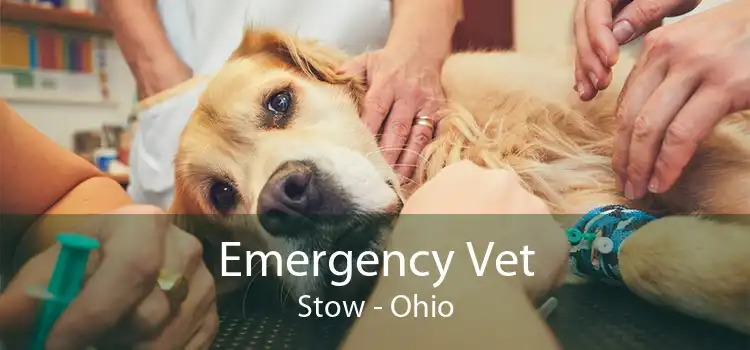 Emergency Vet Stow - Ohio