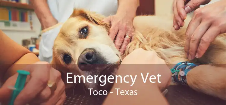 Emergency Vet Toco - Texas