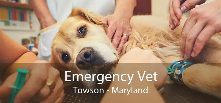 Emergency Vet Towson - Maryland