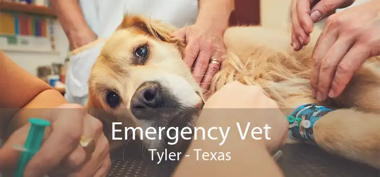 Emergency Vet Tyler - Texas