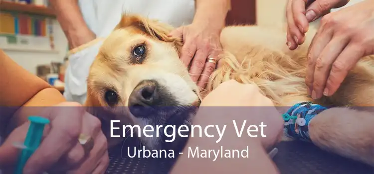 Emergency Vet Urbana - Maryland