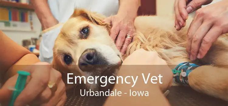 Emergency Vet Urbandale - Iowa