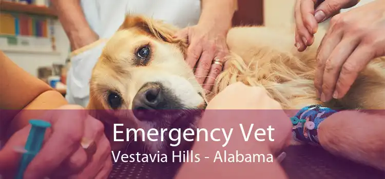 Emergency Vet Vestavia Hills - Alabama