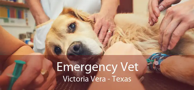 Emergency Vet Victoria Vera - Texas