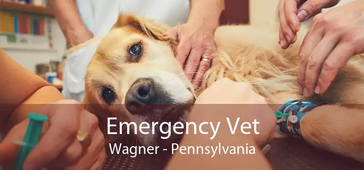 Emergency Vet Wagner - Pennsylvania