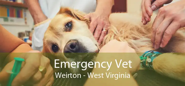 Emergency Vet Weirton - West Virginia