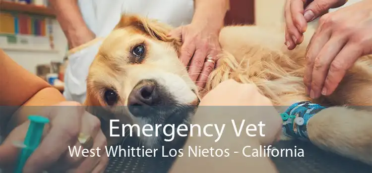 Emergency Vet West Whittier Los Nietos - California