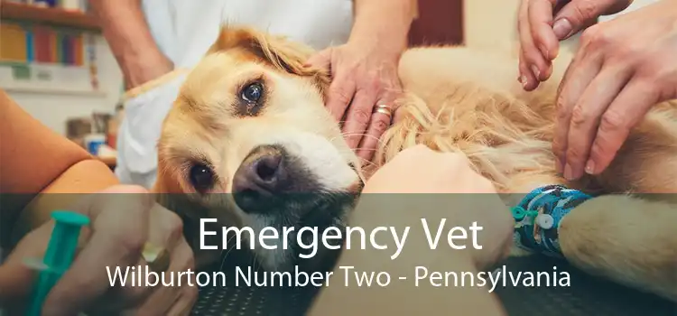 Emergency Vet Wilburton Number Two - Pennsylvania