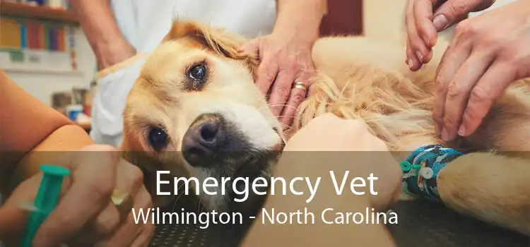 Emergency Vet Wilmington - North Carolina