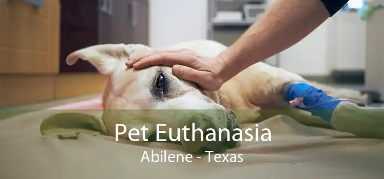 Pet Euthanasia Abilene - Texas