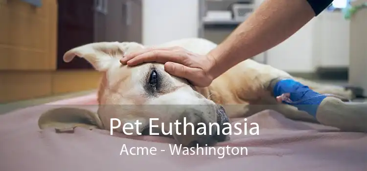 Pet Euthanasia Acme - Washington