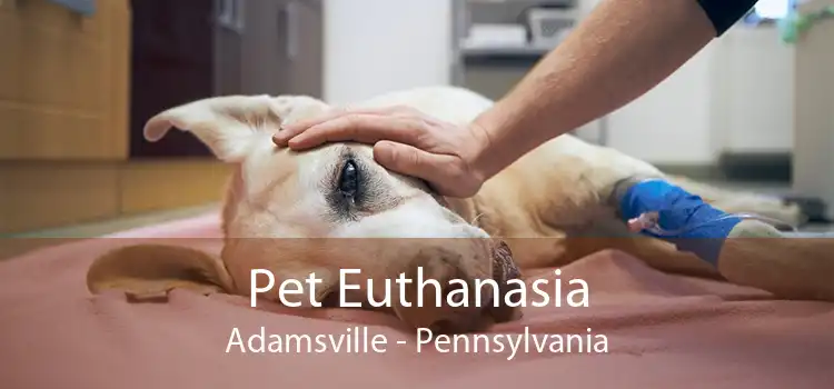 Pet Euthanasia Adamsville - Pennsylvania