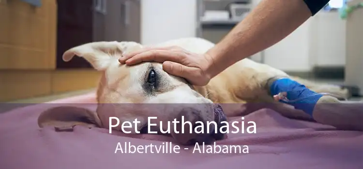Pet Euthanasia Albertville - Alabama