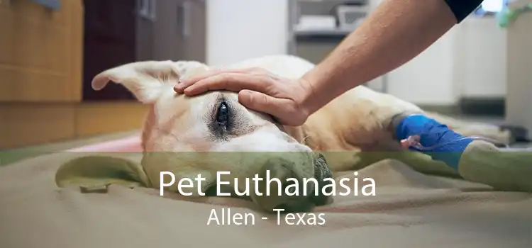 Pet Euthanasia Allen - Texas