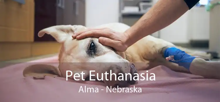 Pet Euthanasia Alma - Nebraska