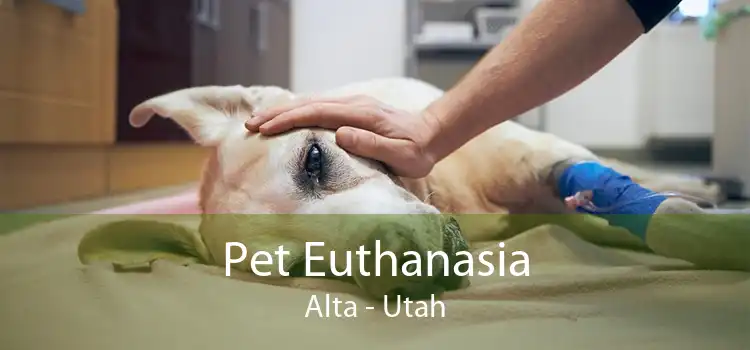 Pet Euthanasia Alta - Utah