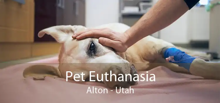 Pet Euthanasia Alton - Utah
