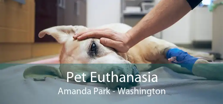 Pet Euthanasia Amanda Park - Washington