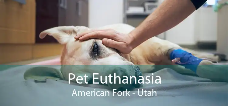 Pet Euthanasia American Fork - Utah