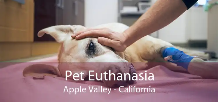 Pet Euthanasia Apple Valley - California