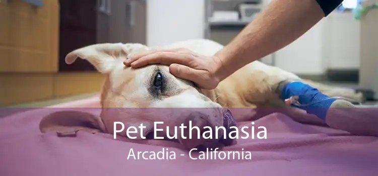 Pet Euthanasia Arcadia - California